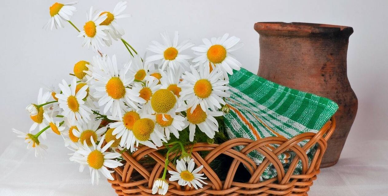 como facer un tónico facial con flores de manzanilla